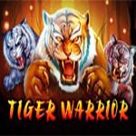 Tiger Warrior